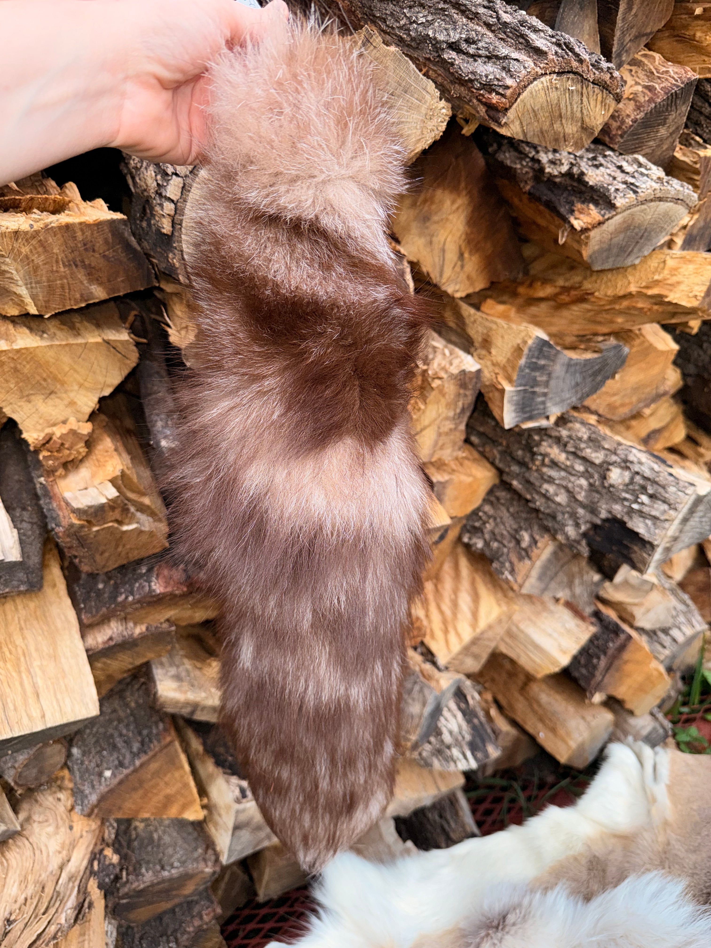 Brown Fluffy Fox Tail